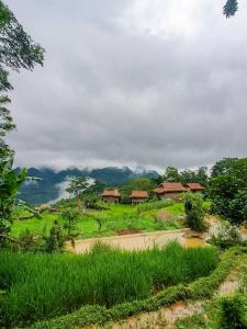 Pu LuongPu Luong Jungle Lodge的绿色田野中间的一个村庄