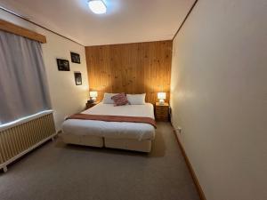 佩里舍峡谷Peer Gynt Ski Lodge的一间卧室配有一张床、两盏灯和一个窗户。