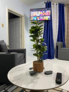 欧丘里欧K2 Aqua Vista Escape的客厅里摆放着植物的桌子