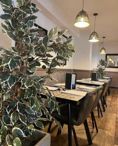 伯明翰The Bournbrook Inn的一间设有桌子和大植物的用餐室