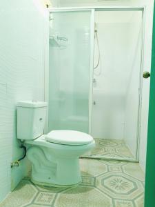 爱妮岛CHIBEL SUMMER RIVERSIDE HOTEL的一间带卫生间和淋浴的浴室