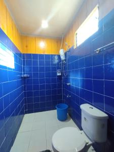 爱妮岛CHIBEL SUMMER RIVERSIDE HOTEL的蓝色瓷砖浴室设有卫生间和淋浴。