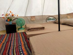 Phu YenTODO Farm - Organic Farming & Retreat的帐篷间 - 带两张床和风扇