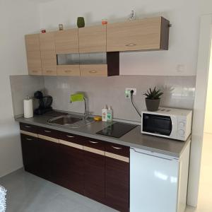 斯普利特New studio apartman Emda u centru Splita的厨房配有水槽和台面上的微波炉