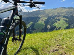 UrmeinHaus Maran的停在草地山顶上的自行车