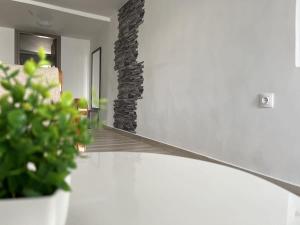安坡里奥圣托里尼Emporio New Classic 1Bd Santorini Stylish Apt的一间客厅,配有石墙和植物