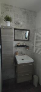 Treize-Ventschambre d'hôte La Paisible的一间带水槽和镜子的浴室