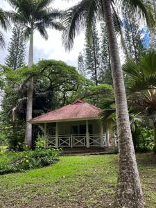 SarraméaBungalow Sarraméa的前面有棕榈树的房子