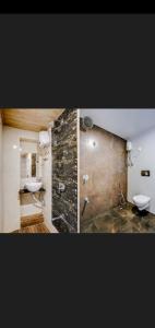 孟买Hotel Green Park的浴室设有水槽和卫生间,两幅图片