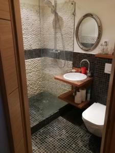 马热伊基艾Apartamentai 78的带淋浴、盥洗盆和卫生间的浴室