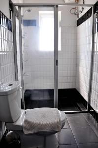 科伦坡Sea View Hotel的带淋浴和卫生间的浴室
