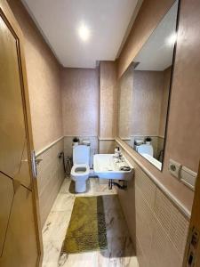 诺阿瑟Late&Early Flight cozy Apartment的一间带卫生间和水槽的小浴室