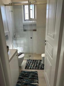 波多河丽Mimozas Apartment Porto Heli的带淋浴和卫生间的浴室以及地毯。