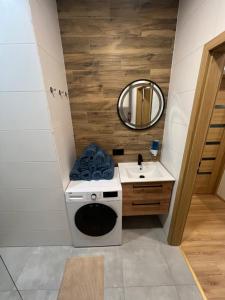 卡托维兹Hostel - Mini room Katowice的一间带洗衣机和水槽的浴室
