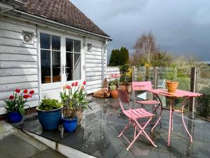 莱姆里吉斯Cobblers Lodge的庭院设有粉红色的桌子、椅子和植物