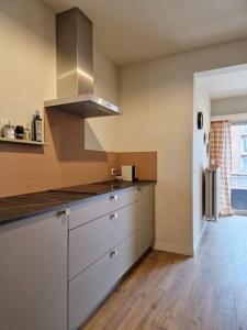 Gezellig appartement in Vilvoorde的厨房或小厨房