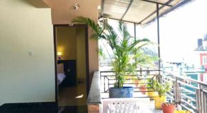 博卡拉Hotel Suite Inn Lodge的阳台上种植了两株盆栽植物的房间