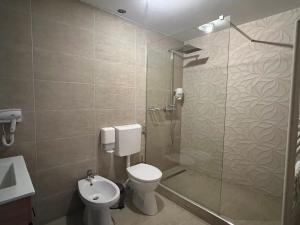 德瓦Hanu lu Mos Opinca的一间带卫生间和玻璃淋浴间的浴室