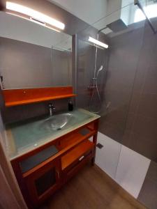 巴涅尔-德吕雄LA TERRASSE的一间带水槽和镜子的浴室
