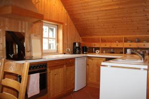 施利茨Loft 18的厨房配有木制橱柜、水槽和炉灶。