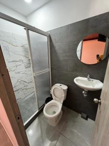 阿瓜奇卡Hotel Almalu的一间带卫生间和水槽的浴室