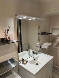 圣日耳曼昂莱bel appartement chic et cosy 78100的一间带水槽和镜子的浴室