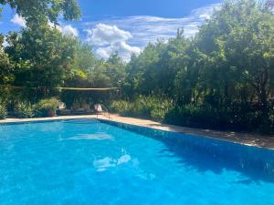 MauaIkweta Safari Camp的院子里的大型蓝色游泳池