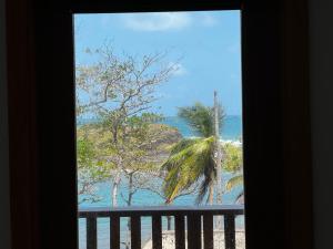 科隆Ciel y Miel的享有海滩美景的窗户,棕榈树