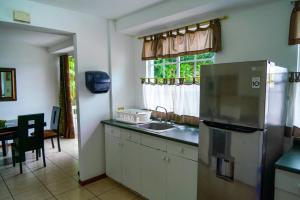 圣萨尔瓦多圣贝尼托-索娜罗莎套房及公寓的厨房配有冰箱、水槽和窗户。