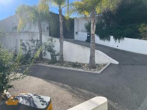 尼斯COTTAGE MARIN avec VUE MER的两棵棕榈树的停车场,位于墙上