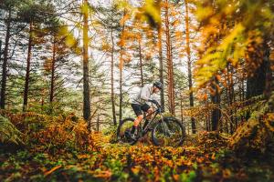 奥泊维森塔尔K1运动酒店的一个人在树林里骑着自行车