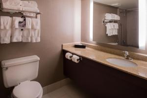 圣路易斯Holiday Inn St Louis Downtown/Convention Center, an IHG Hotel的一间带卫生间、水槽和镜子的浴室