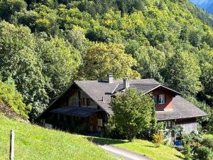 因内特基尔兴Chalet ALPEN LOTUS的山坡上的道路房屋