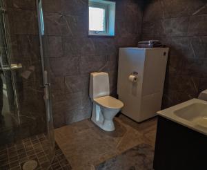 NolWild Lodge的浴室配有卫生间、淋浴和盥洗盆。