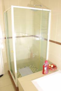 哈博罗内Kunzi B&B的浴室里设有玻璃门淋浴