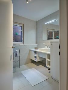梅尔克Haus Fünf mit 2 Apartments und Studio-Loft mit Terrasse的白色的浴室设有水槽和镜子