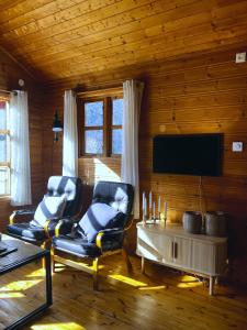 弗洛姆吉文海特酒店的客厅配有2把椅子和平面电视