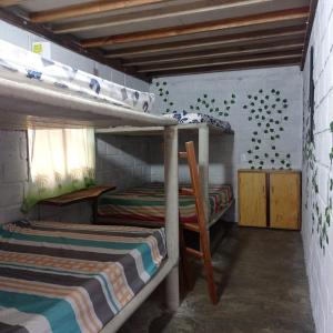圣贝尔纳多德尔比恩托Cabaña Palmeras del Viento的一间卧室设有两张双层床和一扇窗户。