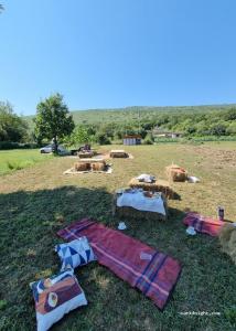 波德戈里察Auto camp Matica的一群毯子在草地上