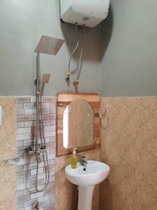 莫希Ellyz Home Stay的一间带水槽和镜子的浴室