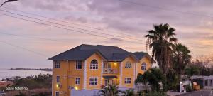 戴蒙德Faith's Villa Tobago的一座黄色房子,前面有一棵棕榈树