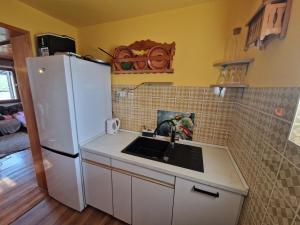 梅特利卡Vineyard Holidays Cottage with Jacuzzi的厨房配有水槽和白色冰箱