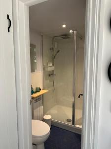 布兰德福德福鲁姆The Snug: Dorset hideaway的带淋浴和卫生间的浴室