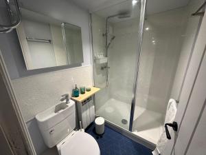 布兰德福德福鲁姆The Snug: Dorset hideaway的带淋浴、卫生间和盥洗盆的浴室