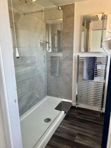 剑桥Lime Tree in blue Duplex Serviced Apartment的带淋浴的浴室和玻璃门