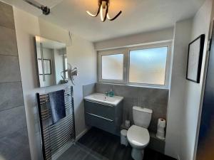 剑桥Lime Tree in blue Duplex Serviced Apartment的一间带卫生间、水槽和镜子的浴室