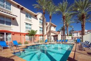 斯科茨Sonesta Simply Suites Phoenix Scottsdale的一个带椅子的游泳池,棕榈树