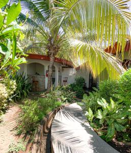 格拉纳达帕德利诺酒店的前面有棕榈树的房子