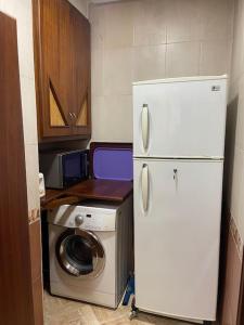 拉巴特Authentic moroccan apartment的厨房配有冰箱和洗衣机。