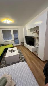 米哈洛夫采Apartman City Park Stráňany的客厅配有床、桌子和电视